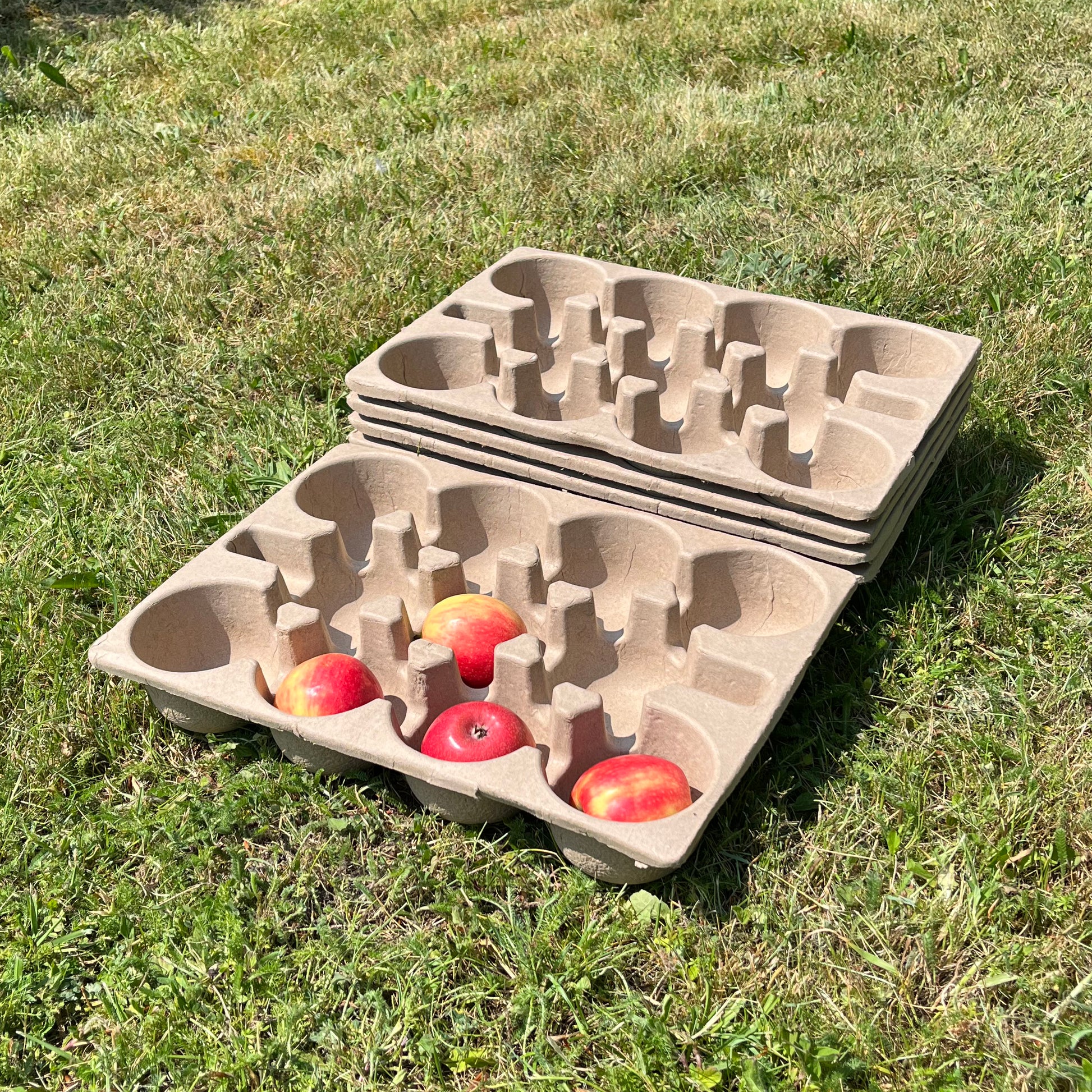 A set of beige paper fibre apple storage trays with slots for storing apples, displayed on a grassy surface.