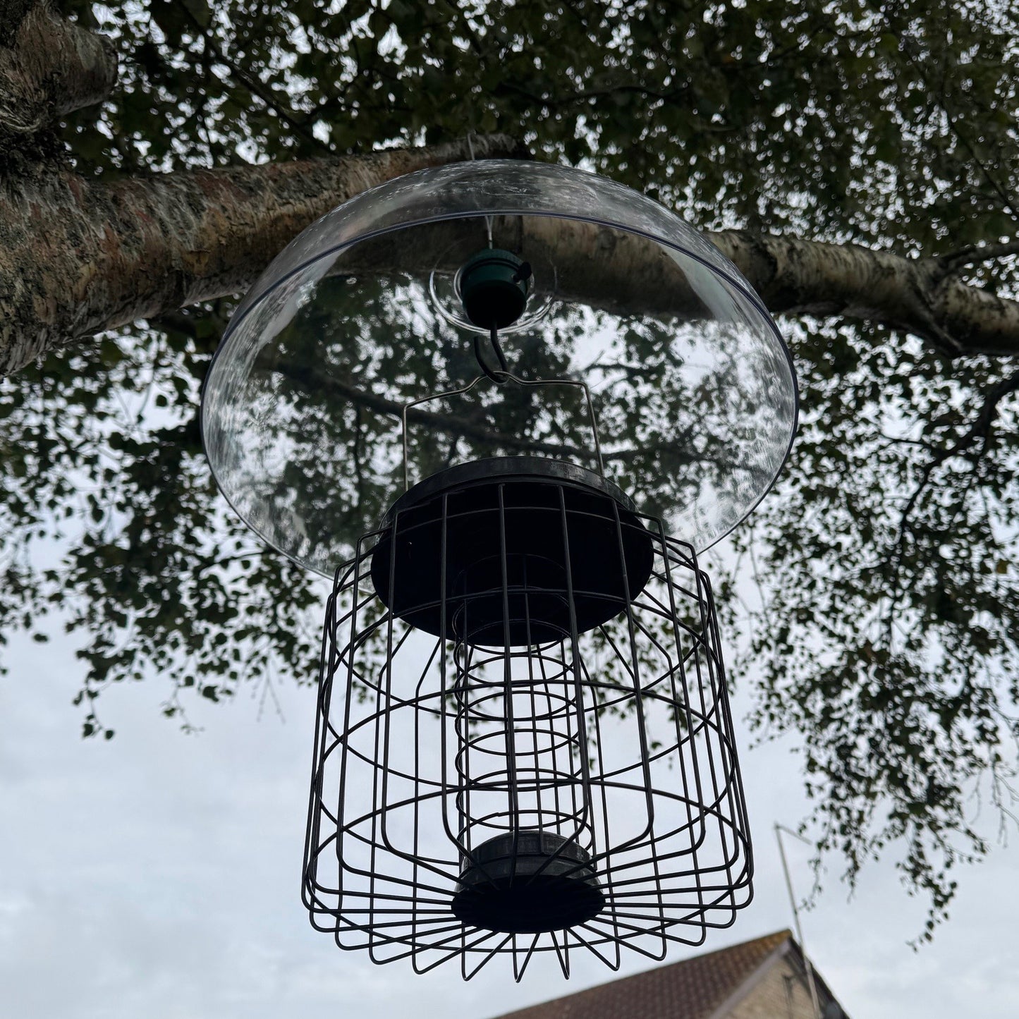 Heavy Duty Squirrel Proof Hanging Suet Fat Ball Bird Feeder & Plastic Baffle