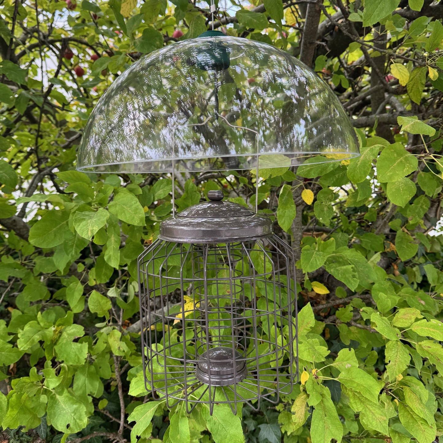 Heavy Duty Squirrel Proof Hanging Suet Fat Ball Bird Feeder & Plastic Baffle