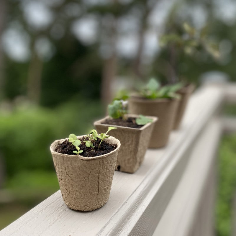 144 x 5cm Eco Round Fibre Biodegradable and Compostable Plant Pots