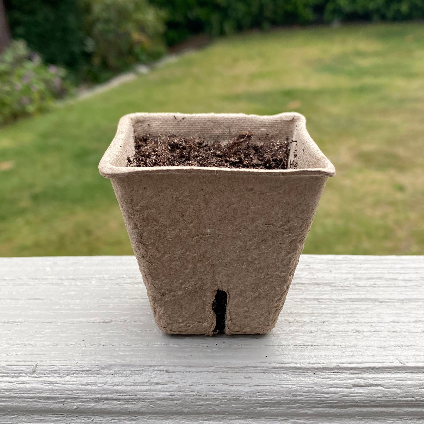 144 x 5cm Eco Square Fibre Biodegradable and Compostable Plant Pots