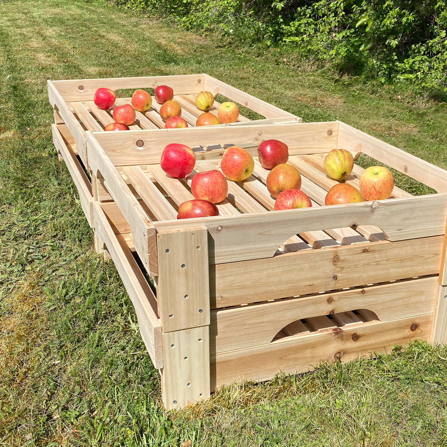 A wooden storage tray rack filled with apples, placed outdoors.