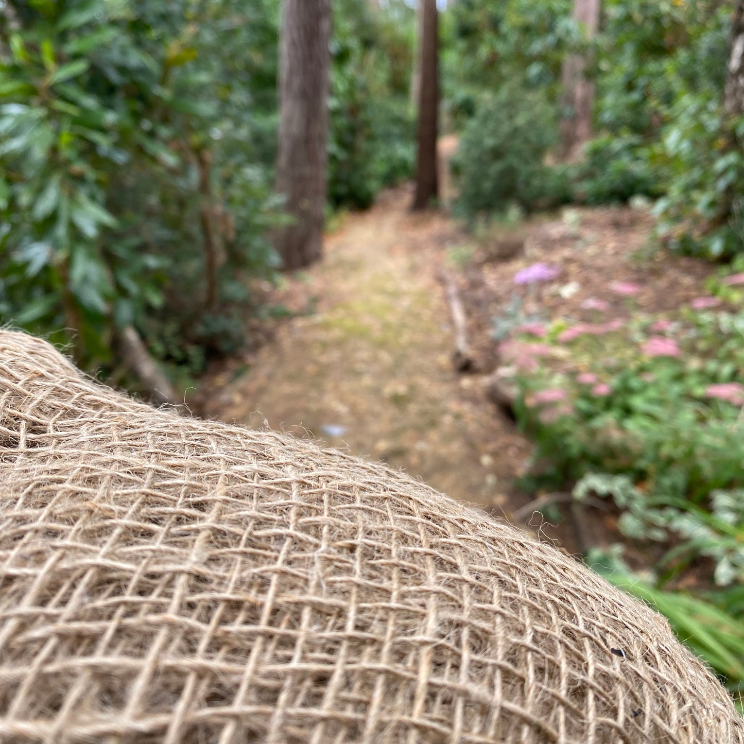 Compostable Biodegradable Leaf Mould Sacks Bags - Pack of 10 - Special Offer