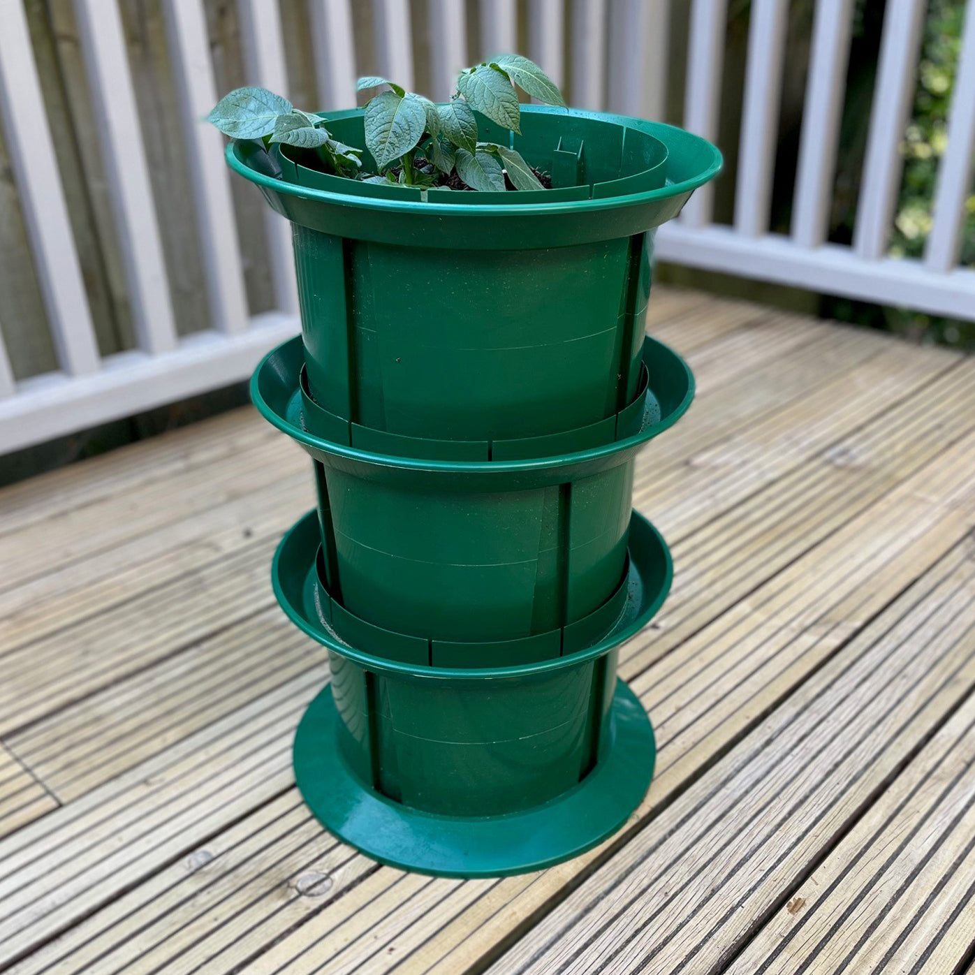 Platform Potato Growpot Planter