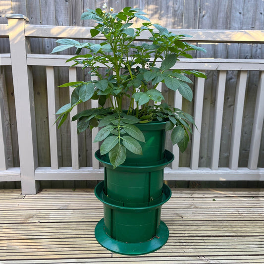 Platform Potato Growing Pot Planter