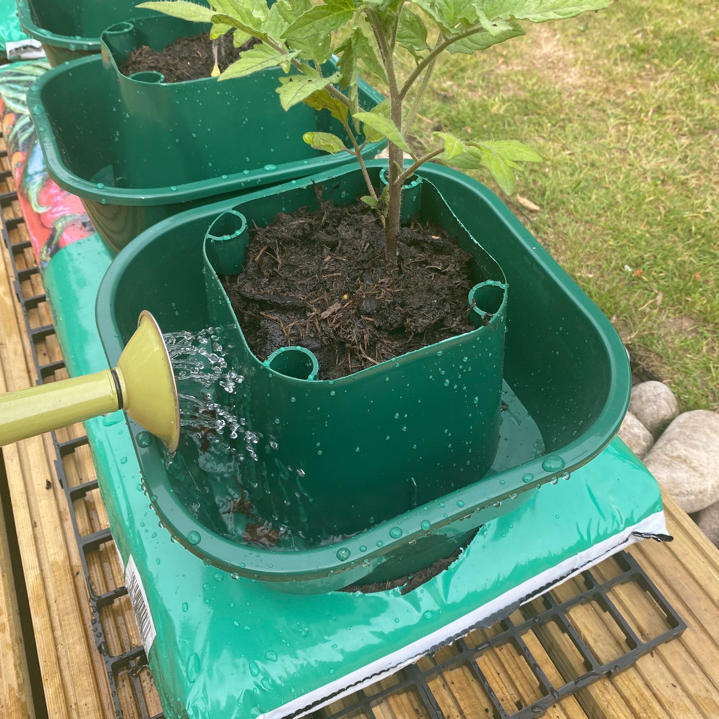 Tomato & Vegetable Growbag Pots (Set of 3)