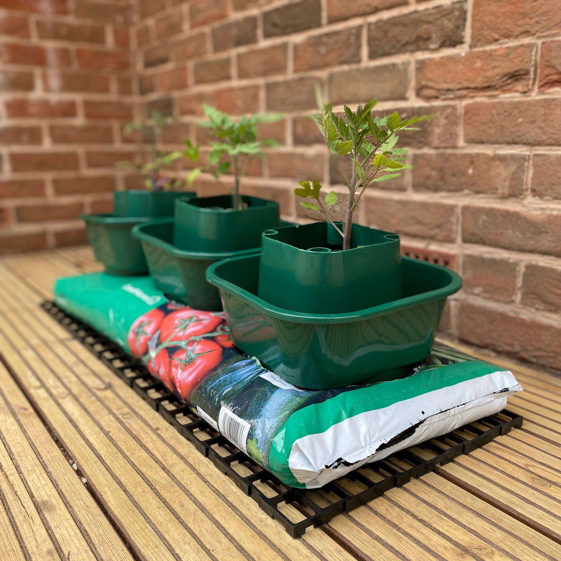 A set of green growbag pots with plants growing inside, placed on a wooden surface with a brick wall in the background.