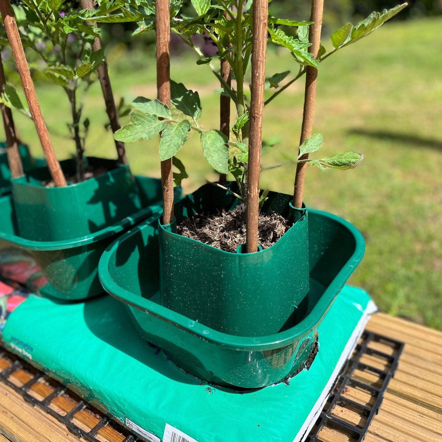 Tomato & Vegetable Growbag Pots - Pack of 3