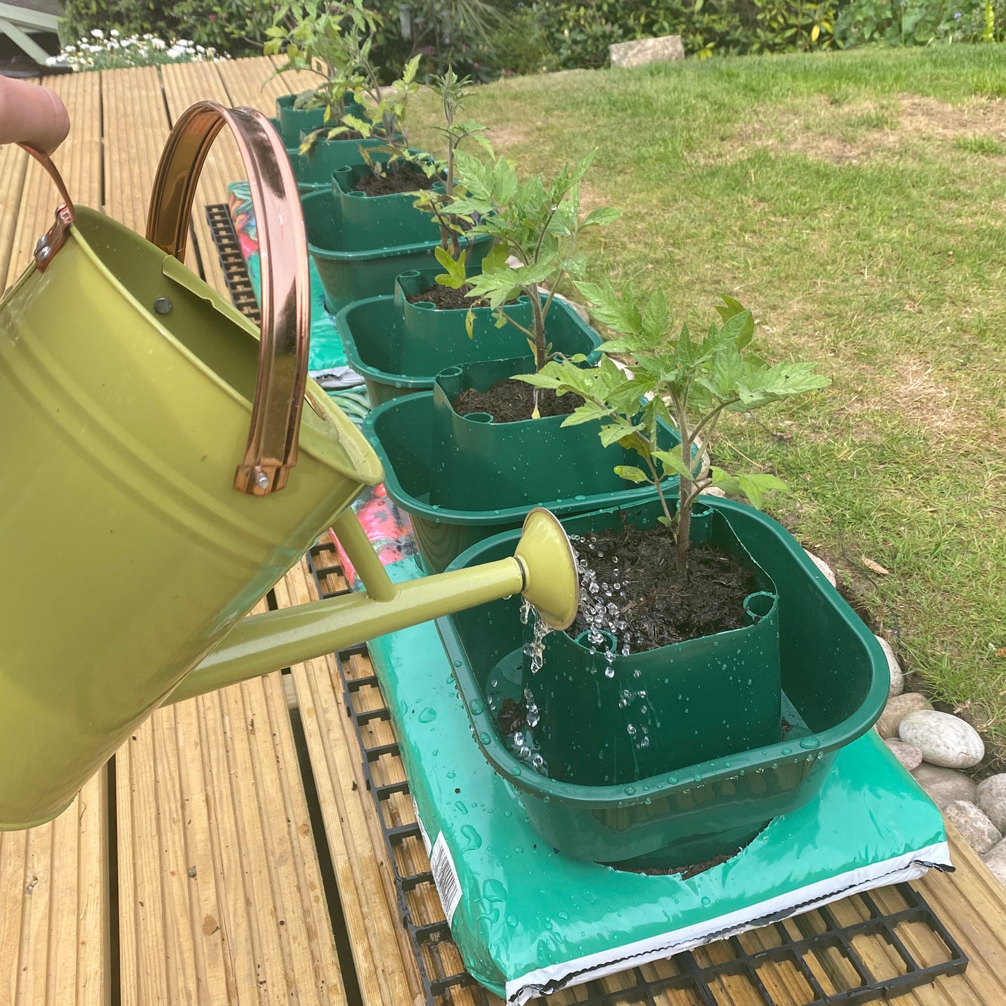 Tomato & Vegetable Growbag Pots (Set of 3)