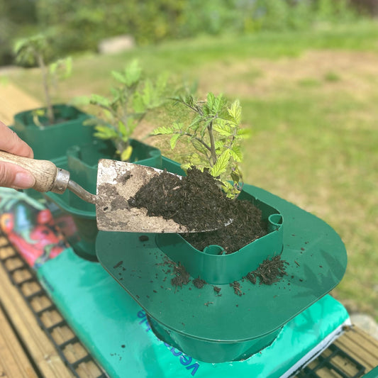 A green planting guard fitted around the inner planting trough of a growbag pot, with soil and plants being tended to.