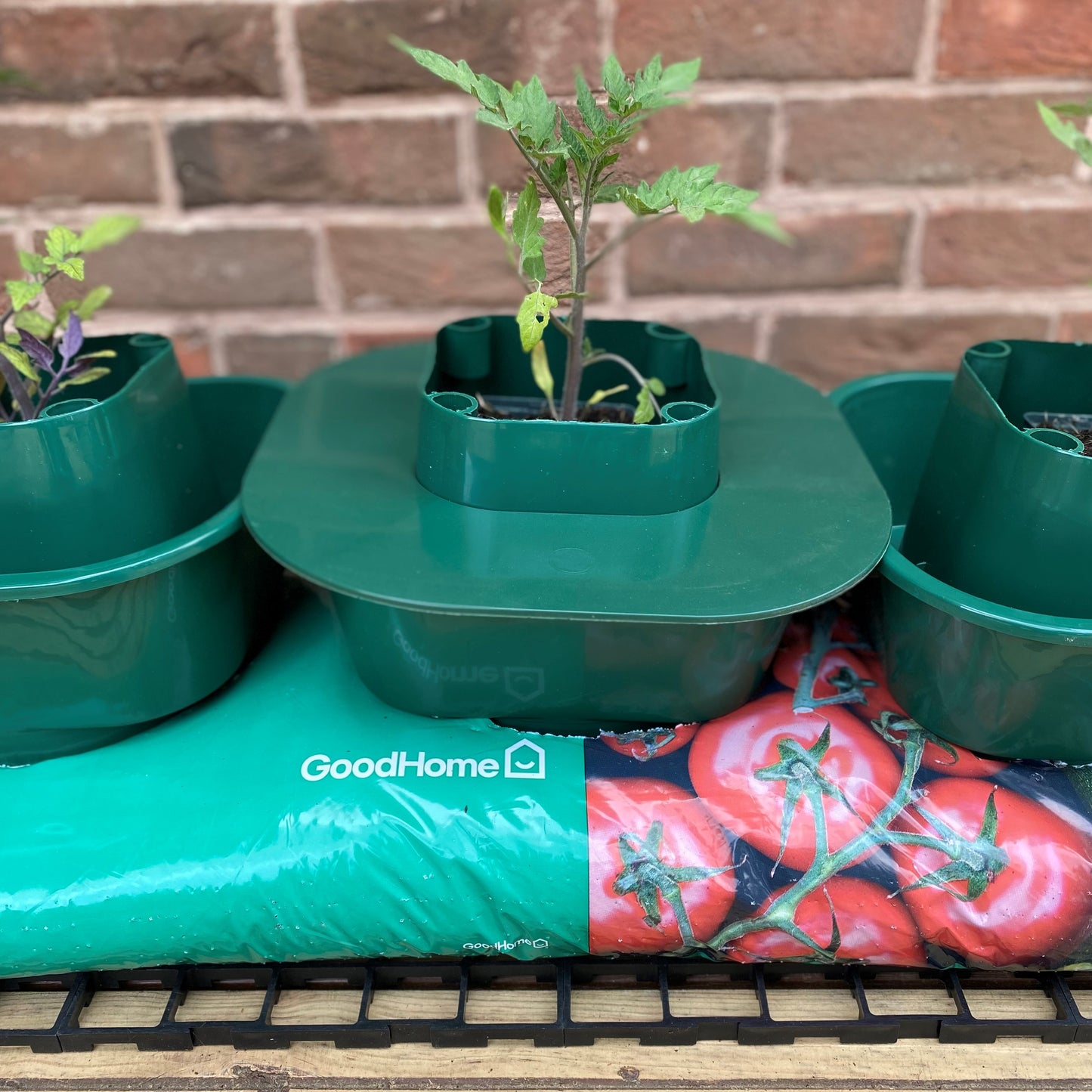 Planting Guard for Growbag Pot