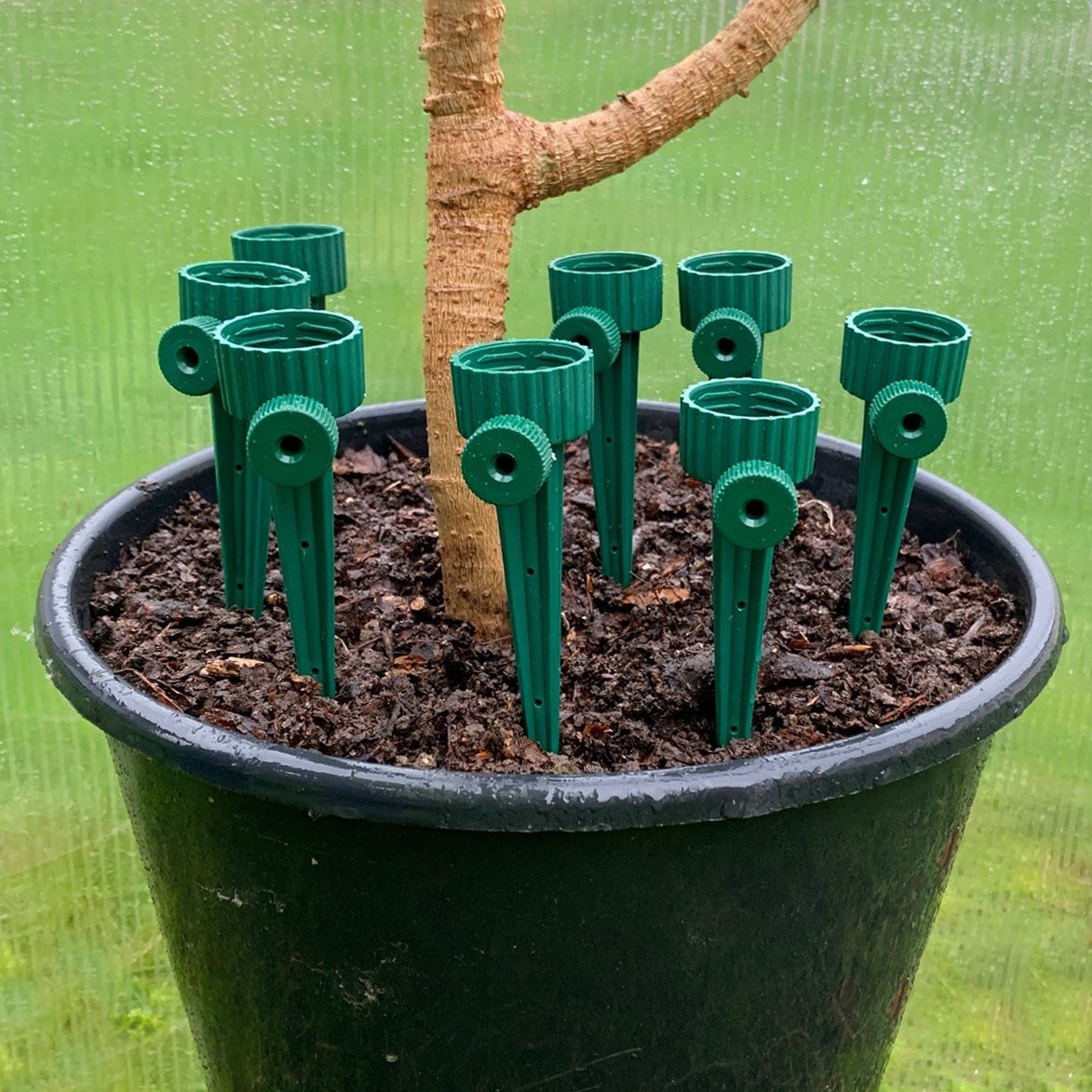 Bottle Irrigation Kit With Tap Adjusted Flow - Pack of 16