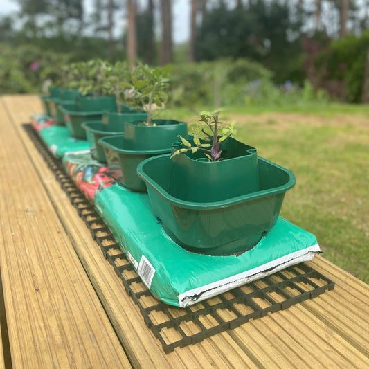 A set of green growbag pots with plants, placed on a wooden surface, designed to fit into a growbag for efficient watering and plant growth.