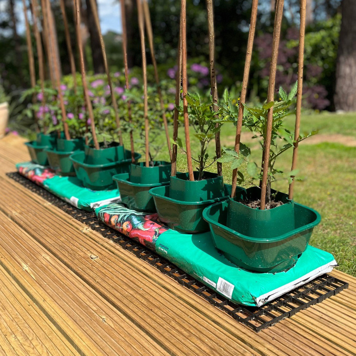 Tomato & Vegetable Growbag Pots - Pack of 6