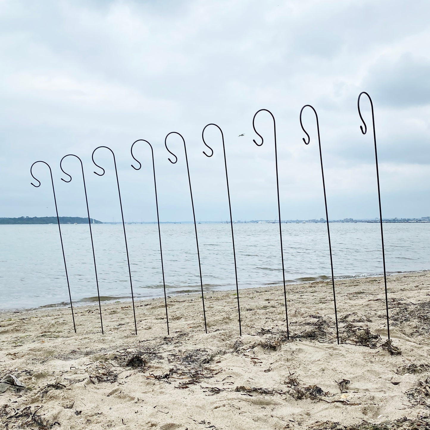 A set of black metal garden border hooks standing upright on a sandy surface with a body of water and sky in the background.