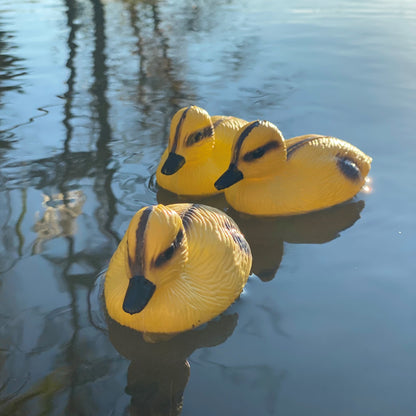 Decorative Plastic Floating Yellow Pond Ducklings (Pack of 6)