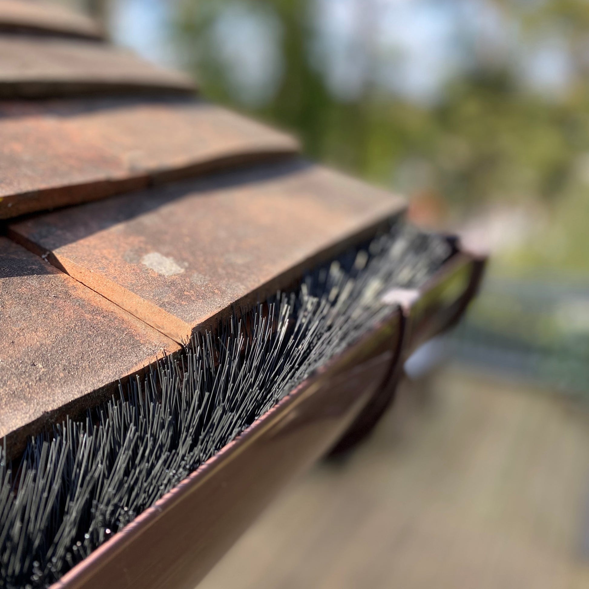 Close-up view of a black gutter brush installed on a gutter, with a stainless steel extraction loop visible.
