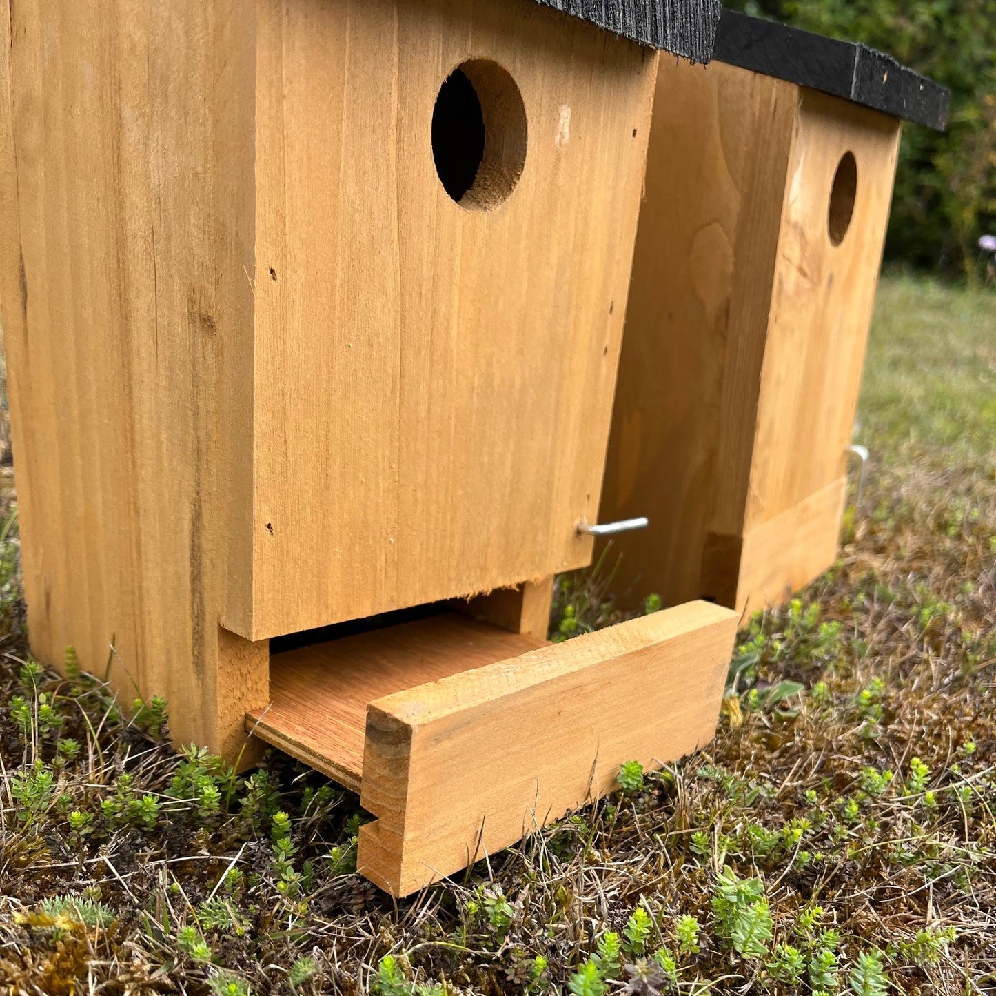 Traditional Wooden Bird Nest Box Birdhouses with Removable Bases (Set of 4)