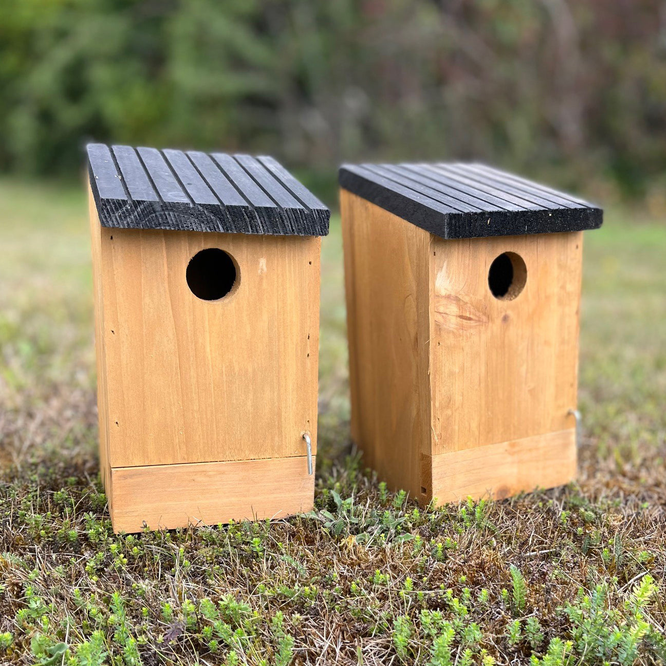 Traditional Wooden Bird Nest Box Birdhouses with Removable Bases (Set of 4)