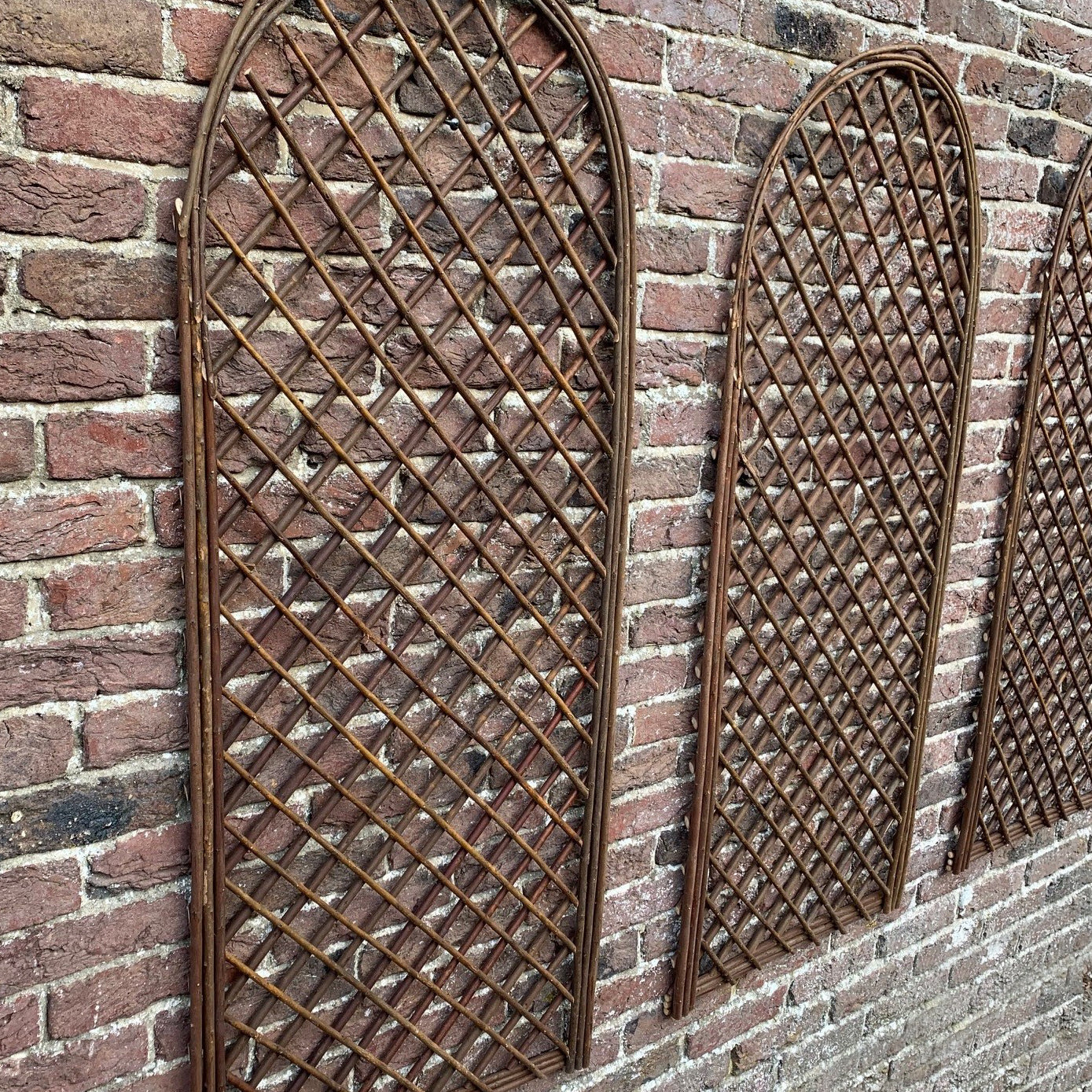 Set of 3 Willow Trellis With Curved Top (120cm x 45cm)