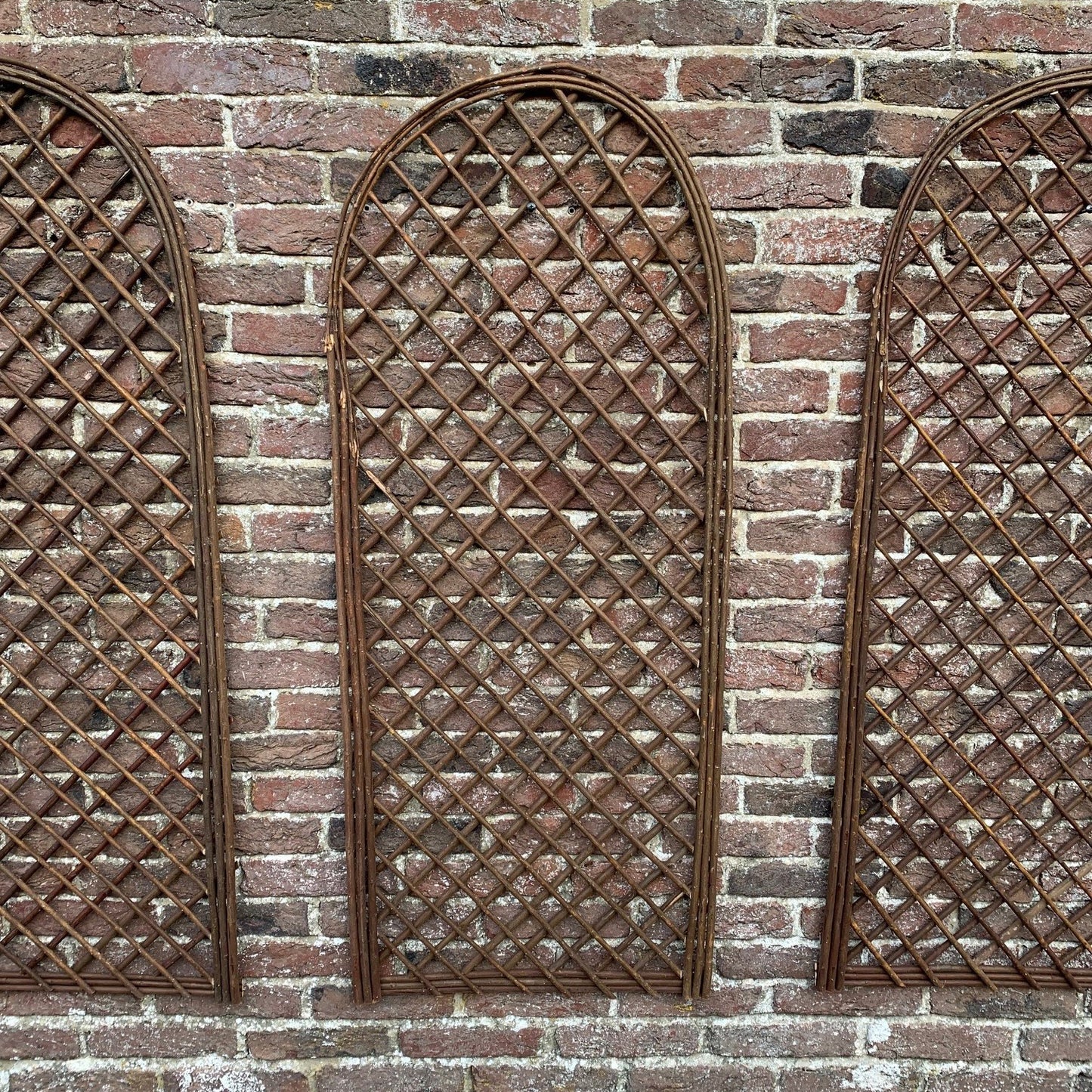 Set of 3 Willow Trellis With Curved Top (120cm x 45cm)