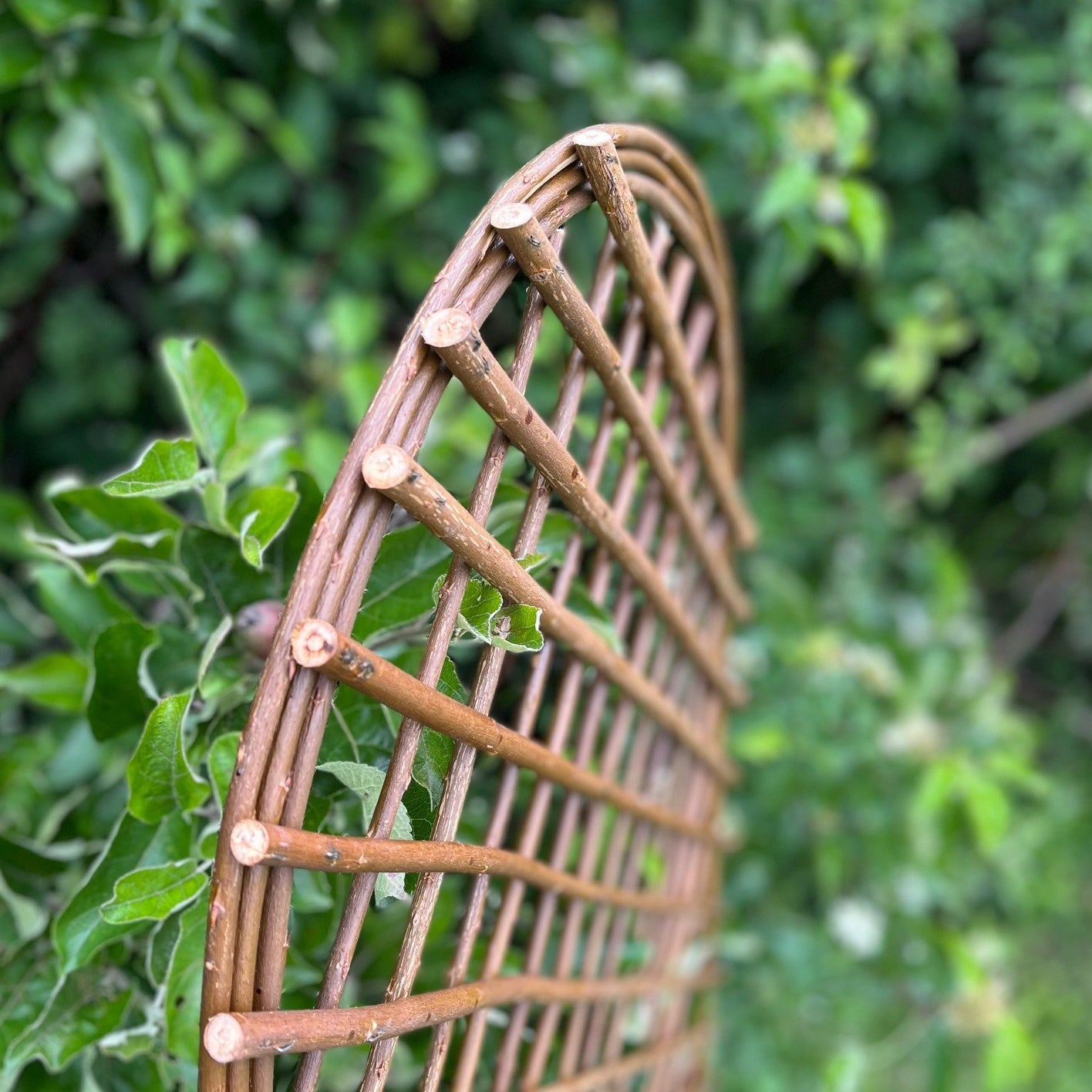 Set of 3 Willow Trellis With Curved Top (120cm x 45cm)