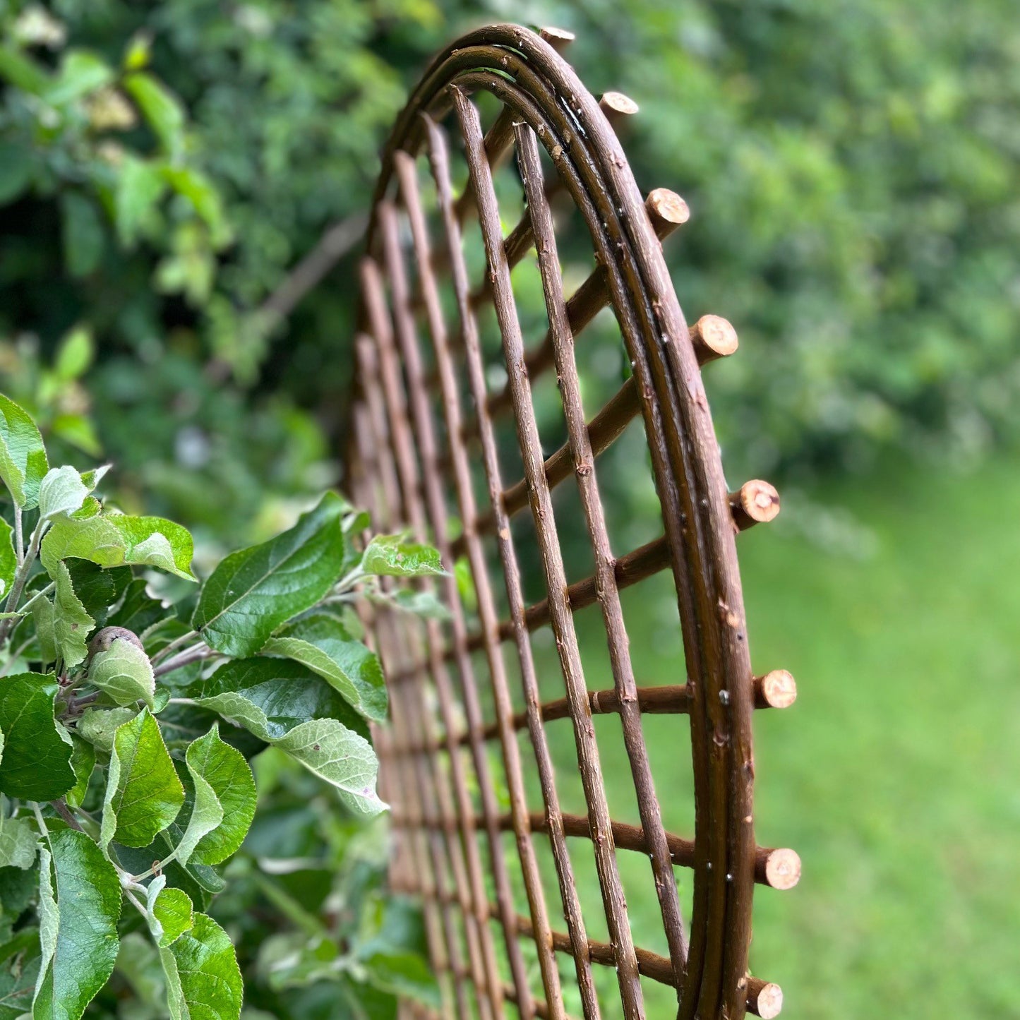 Set of 3 Willow Trellis With Curved Top (120cm x 45cm)