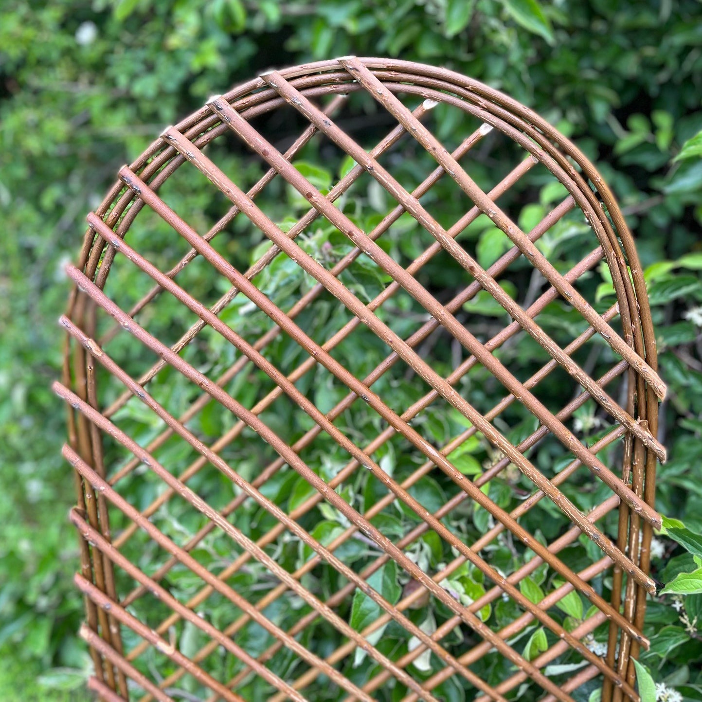 Set of 3 Willow Trellis With Curved Top (120cm x 45cm)