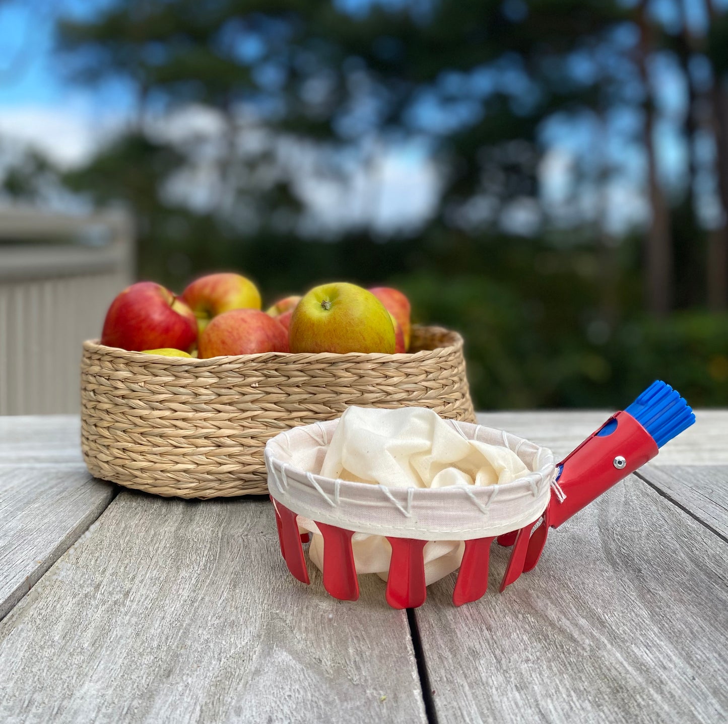 Deluxe Lightweight Telescopic Apple & Fruit Picker