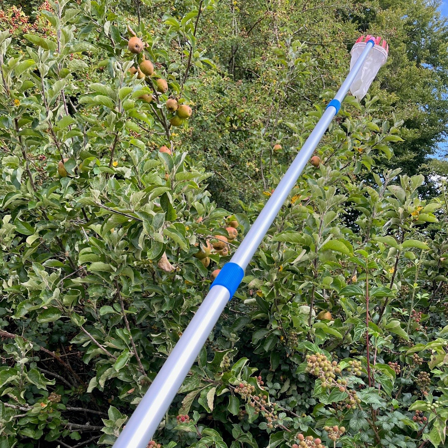 Deluxe Lightweight Telescopic Apple & Fruit Picker