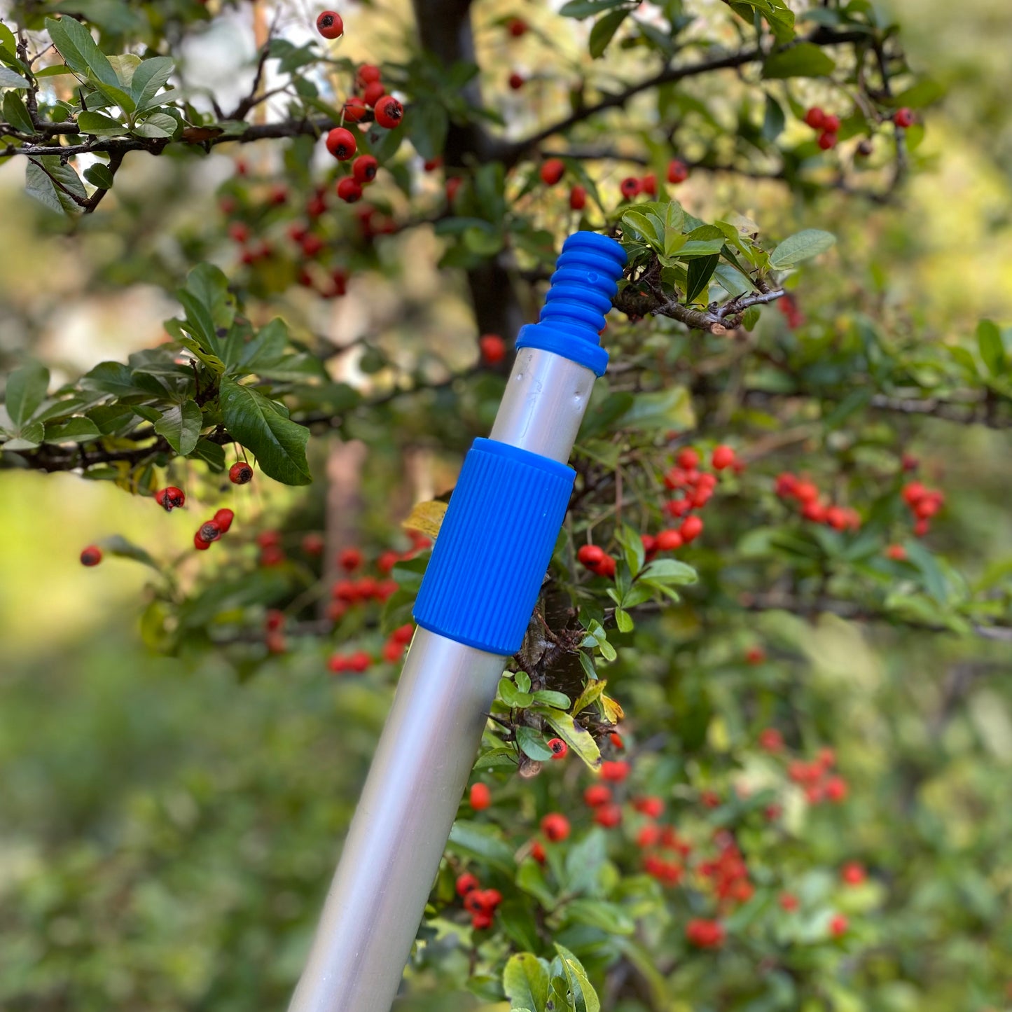 Deluxe Lightweight Telescopic Apple & Fruit Picker