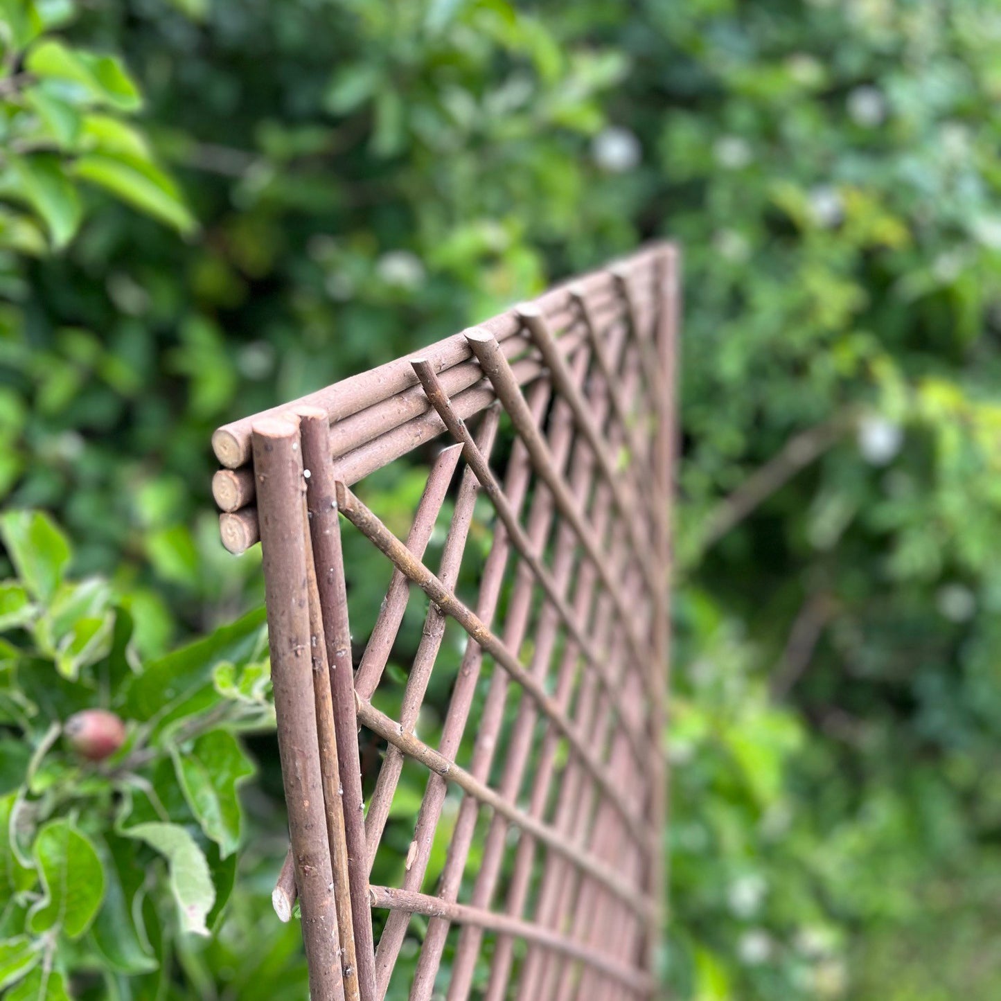 Set of 3 Willow Trellis Framed Panel (120cm x 45cm)