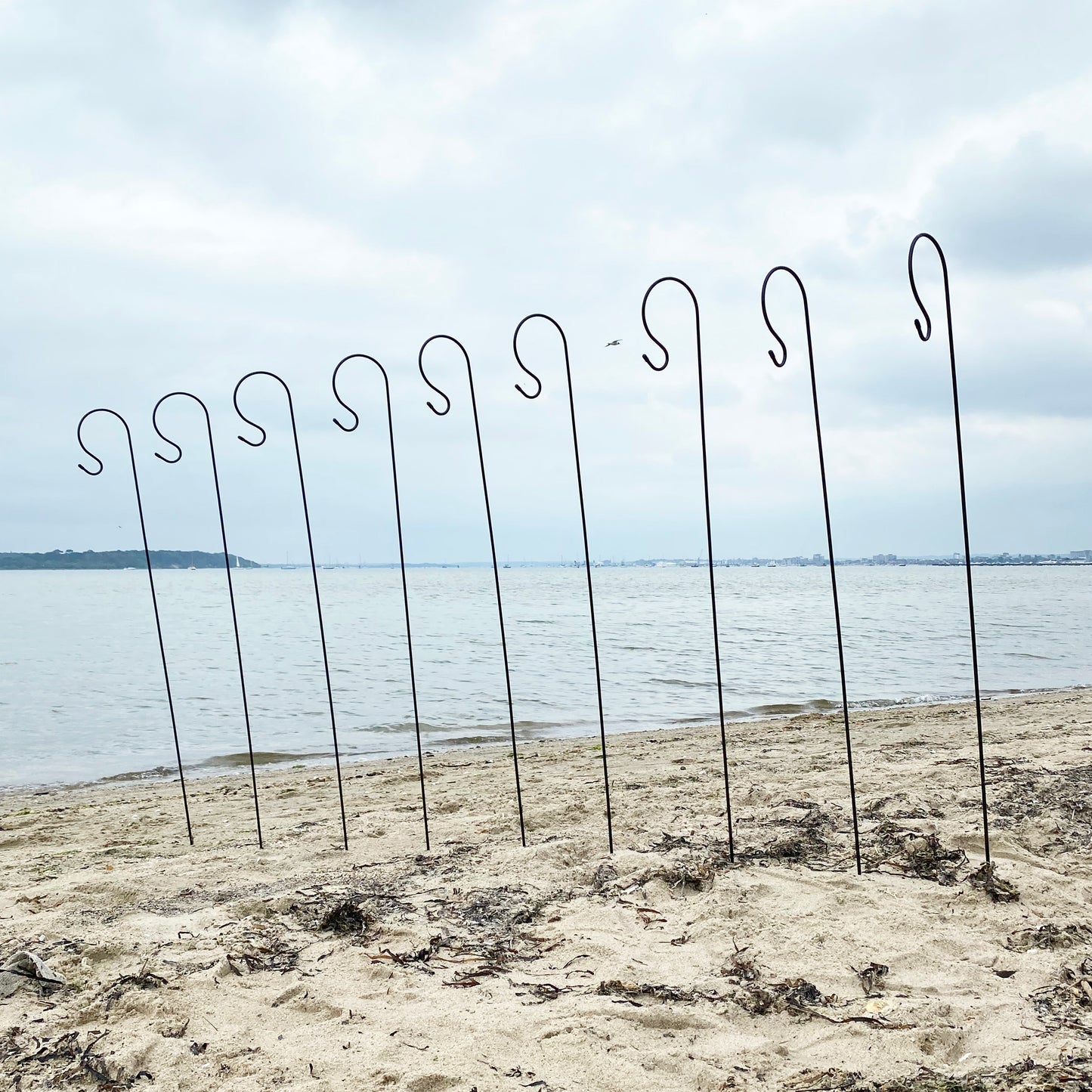 A series of black metal garden border hooks installed on a sandy ground with a body of water and sky in the background.