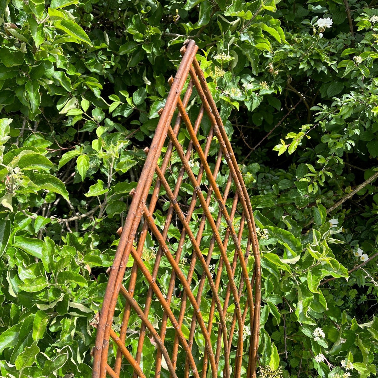 Set of 3 Willow Lattice Trellis With Gothic Top (120cm x 45cm)