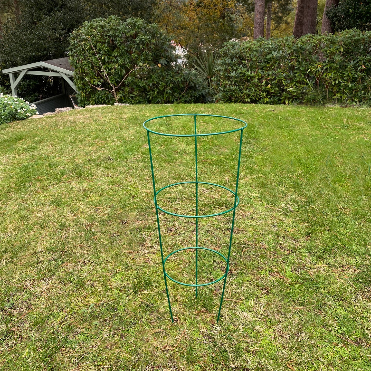 Conical Metal Garden Herbaceous Plant Support Rings (60cm) - Pack of 5