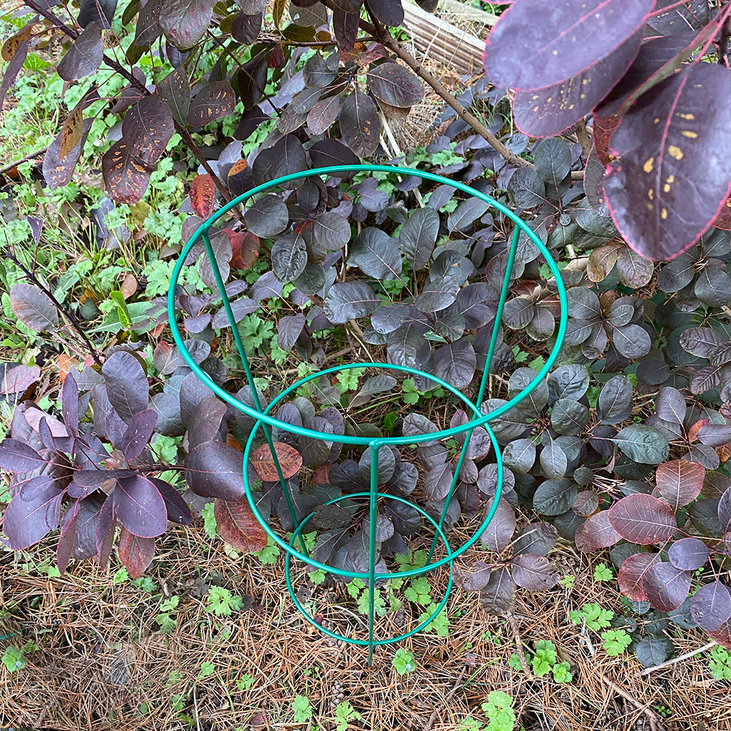 Conical Metal Garden Herbaceous Plant Support Rings (60cm) - Pack of 5