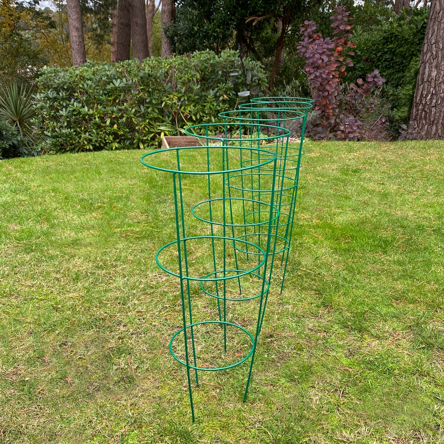 Conical Metal Garden Herbaceous Plant Support Rings (60cm) - Pack of 5