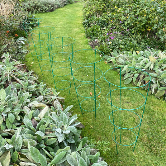 A set of green conical plant support rings of various sizes placed in a garden setting, surrounded by green foliage.