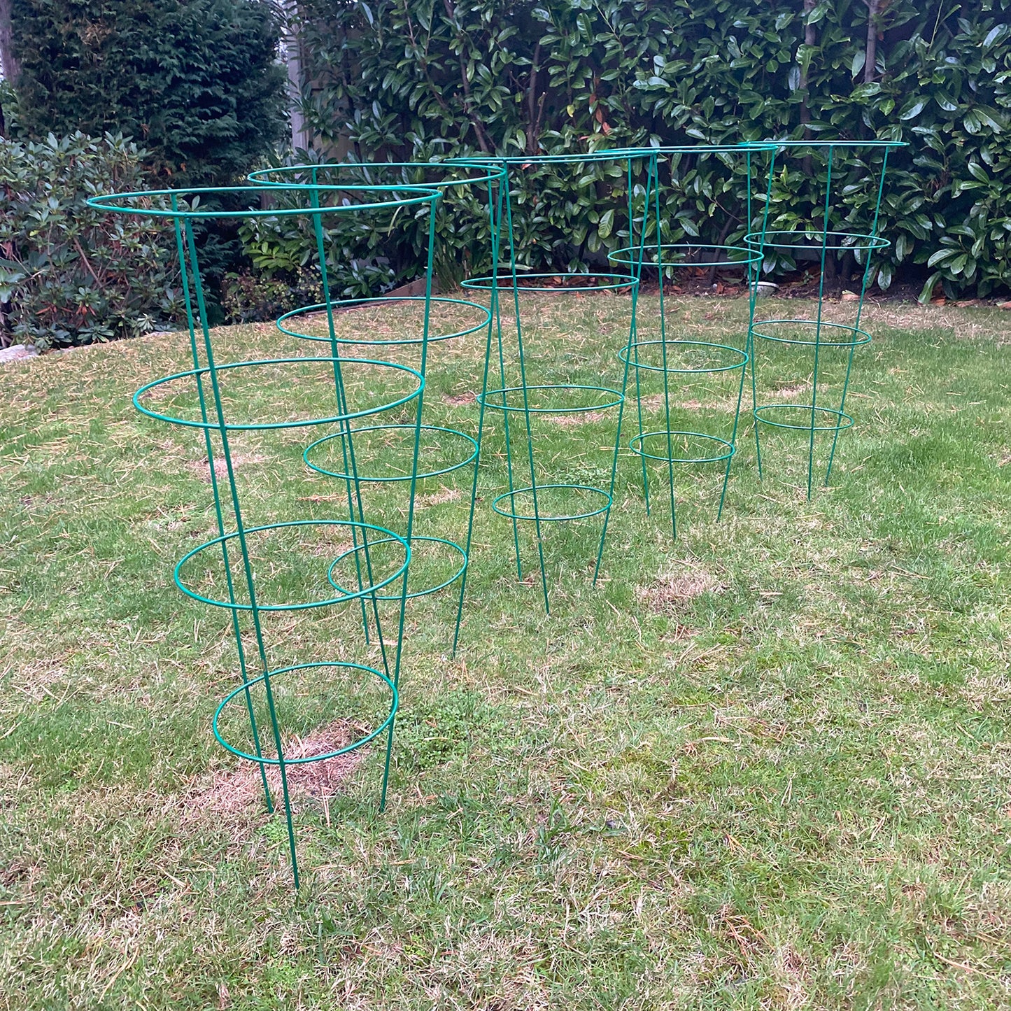 Pack of 5 Conical Garden Plant Support Rings (75cm) Tomato Flower