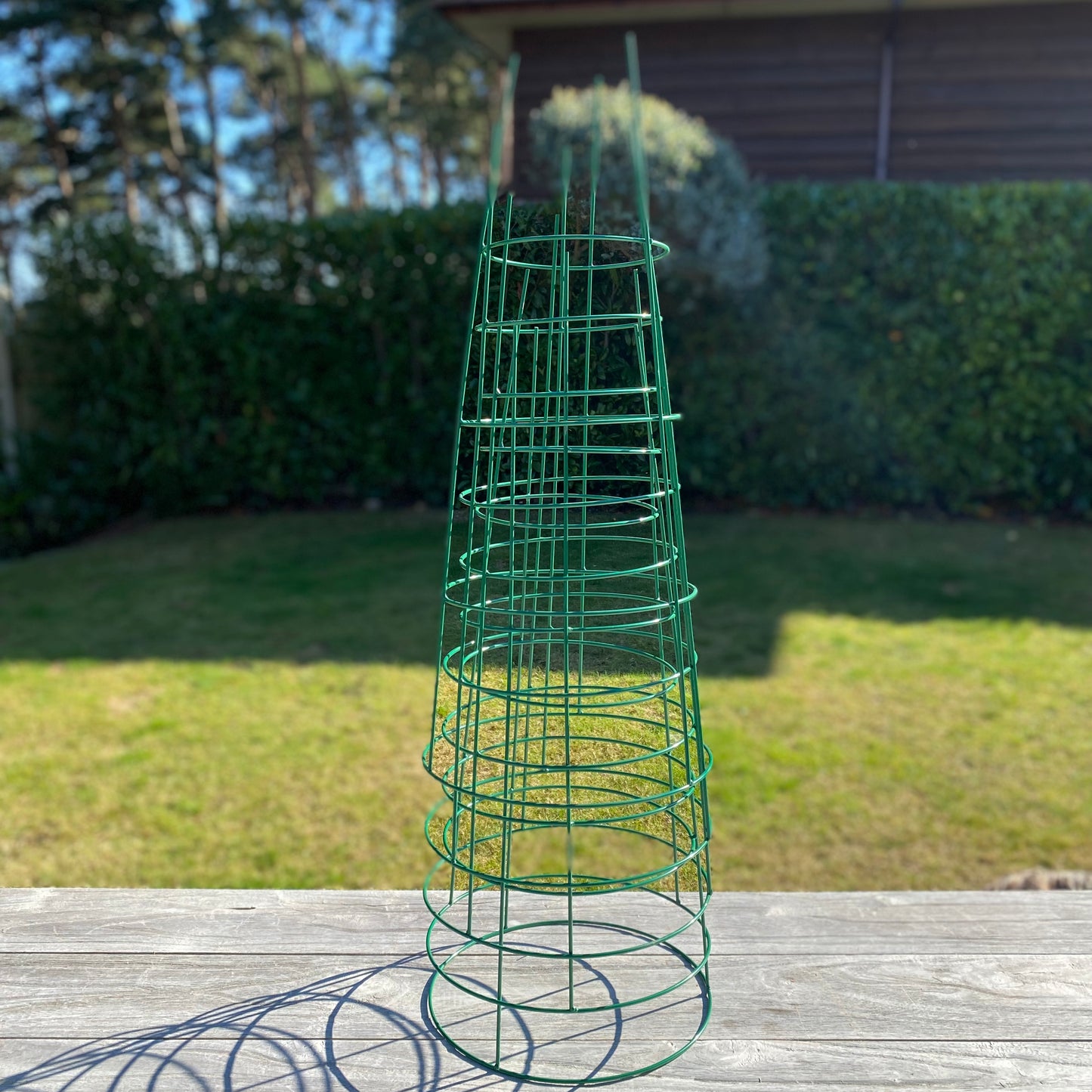 Pack of 5 Conical Garden Plant Support Rings (75cm) Tomato Flower