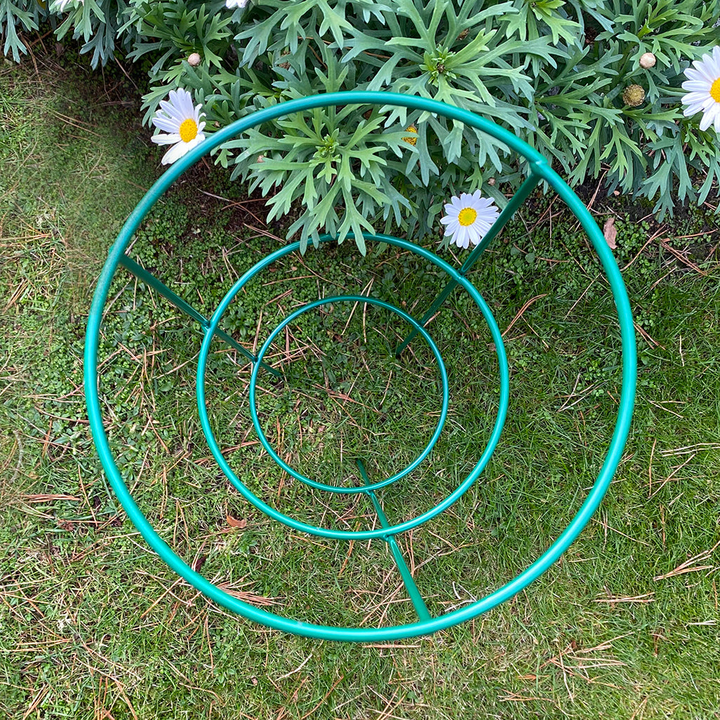 Pack of 5 Conical Garden Plant Support Rings (48cm) Tomato Flower