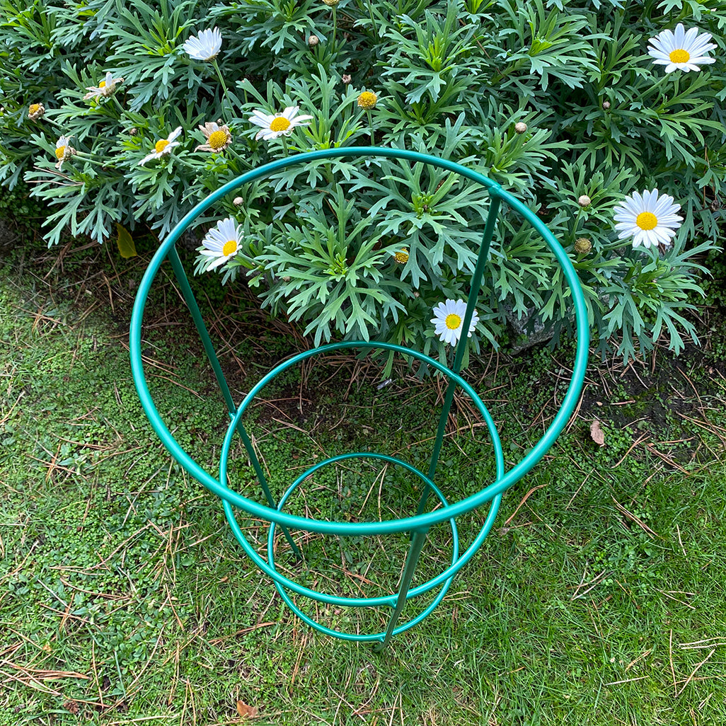 Pack of 5 Conical Garden Plant Support Rings (48cm) Tomato Flower