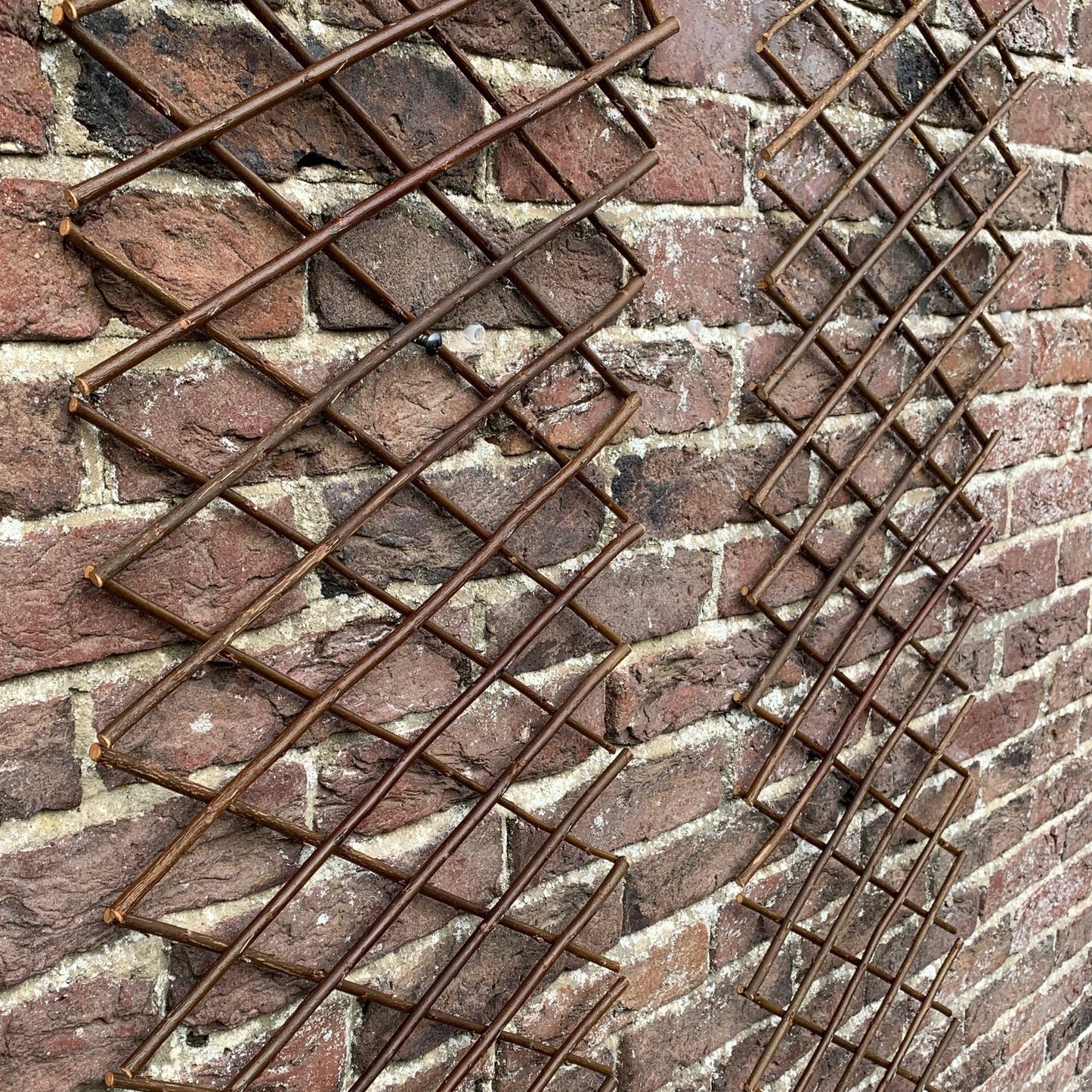 Set of 2 Expanding Willow Trellis (180cm x 30cm)