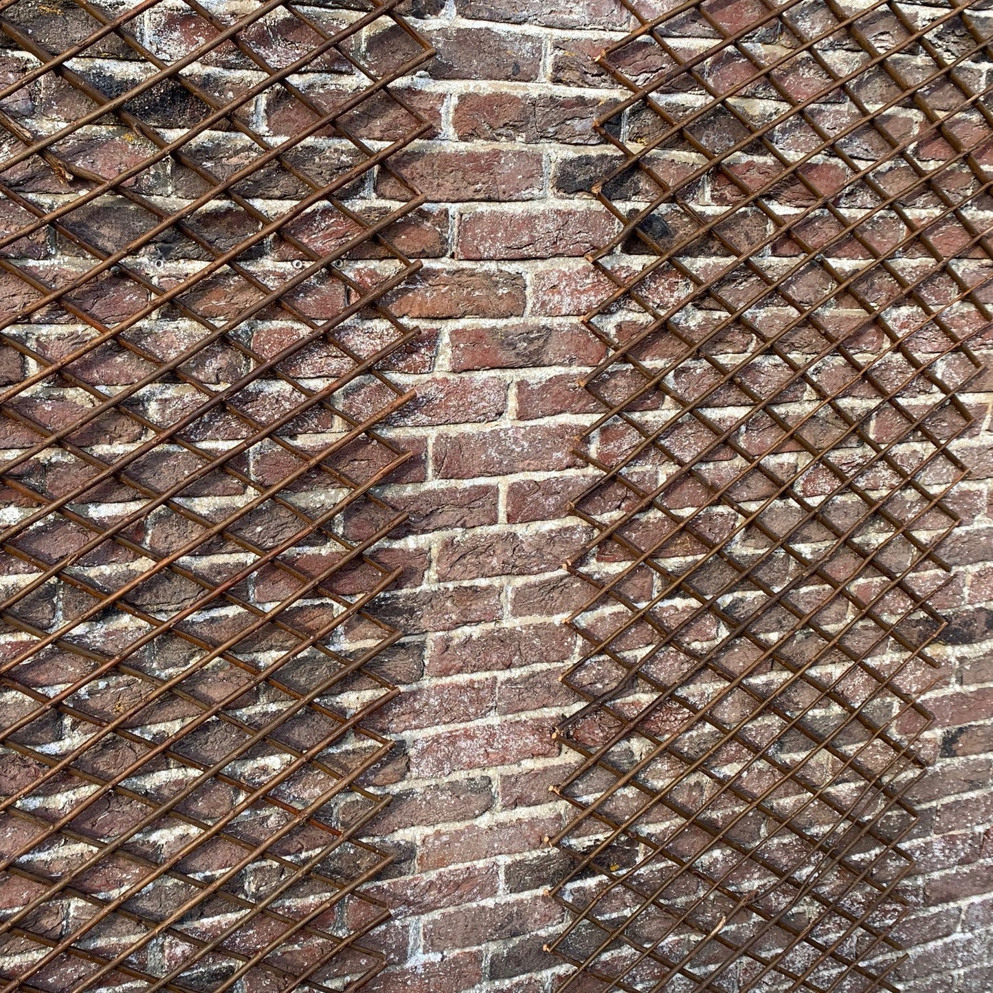 Set of 2 Expanding Willow Trellis (180cm x 60cm)