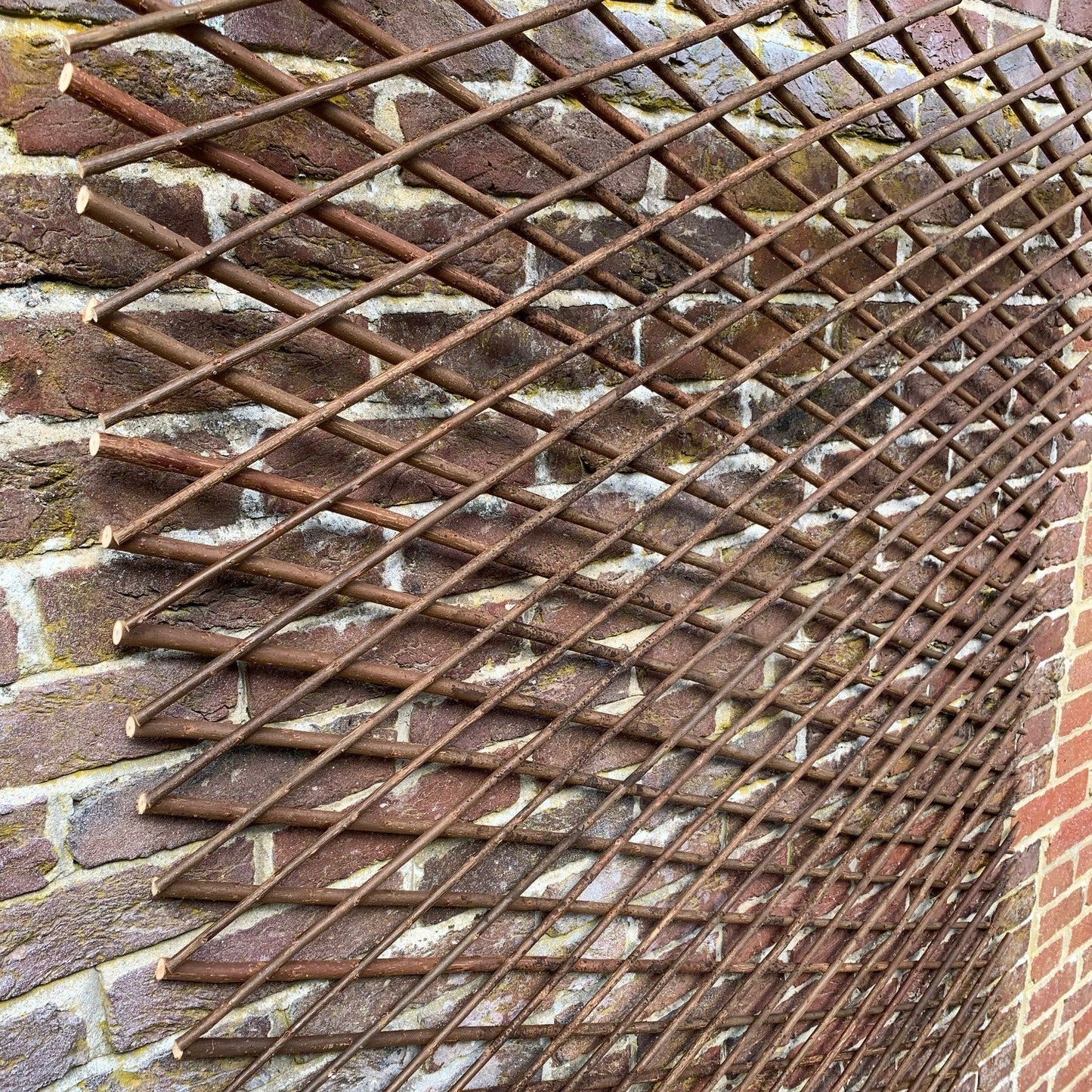 Set of 2 Expanding Willow Trellis (180cm x 90cm)