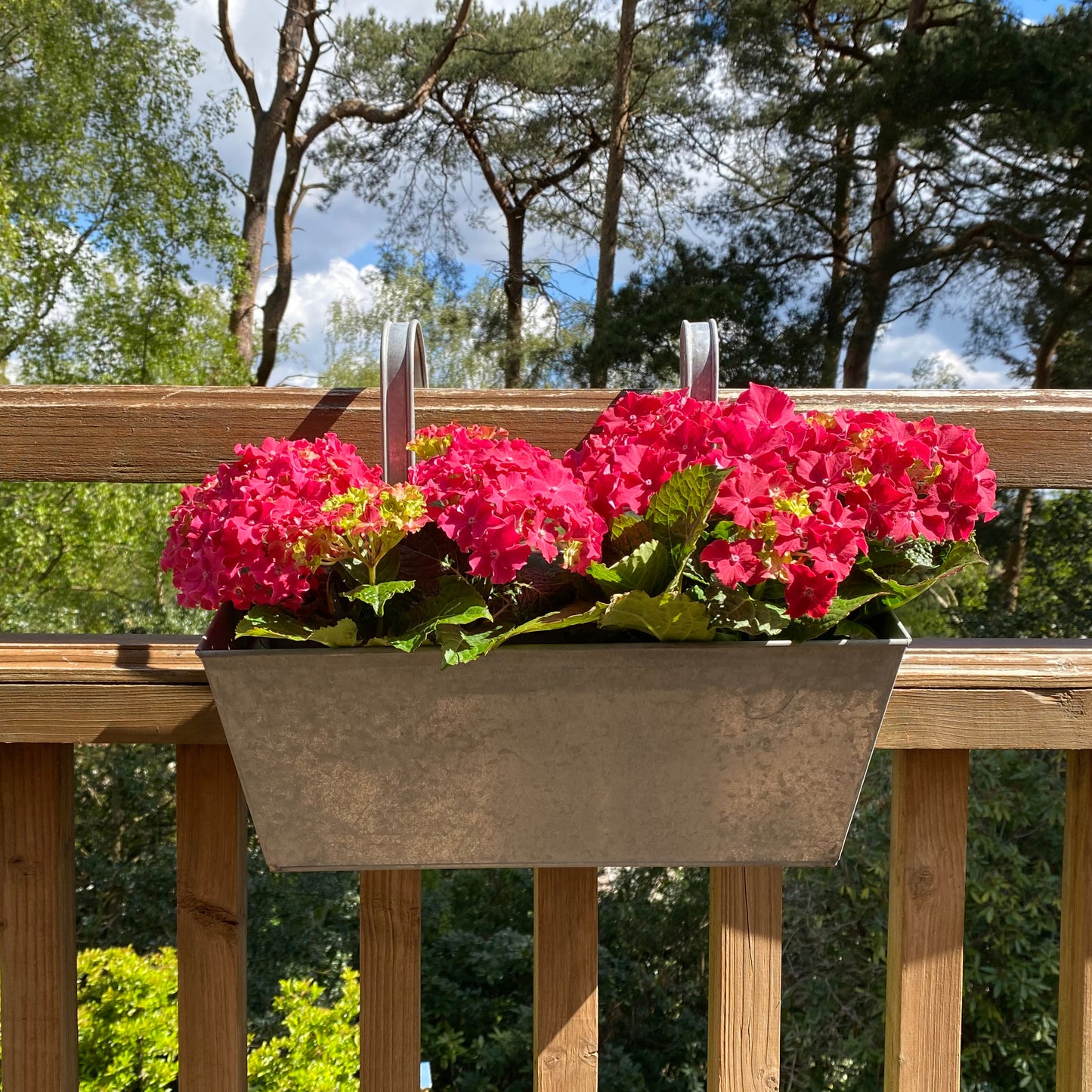 Zinc Balcony Railing Hanging Planters - Pack of 2