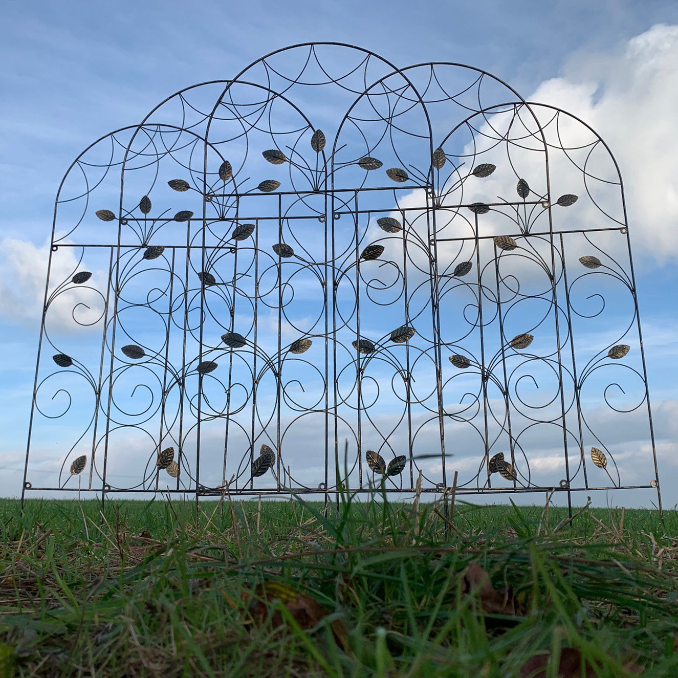 Set of 5 Leaf Design Metal Trellis (120cm x 50cm)