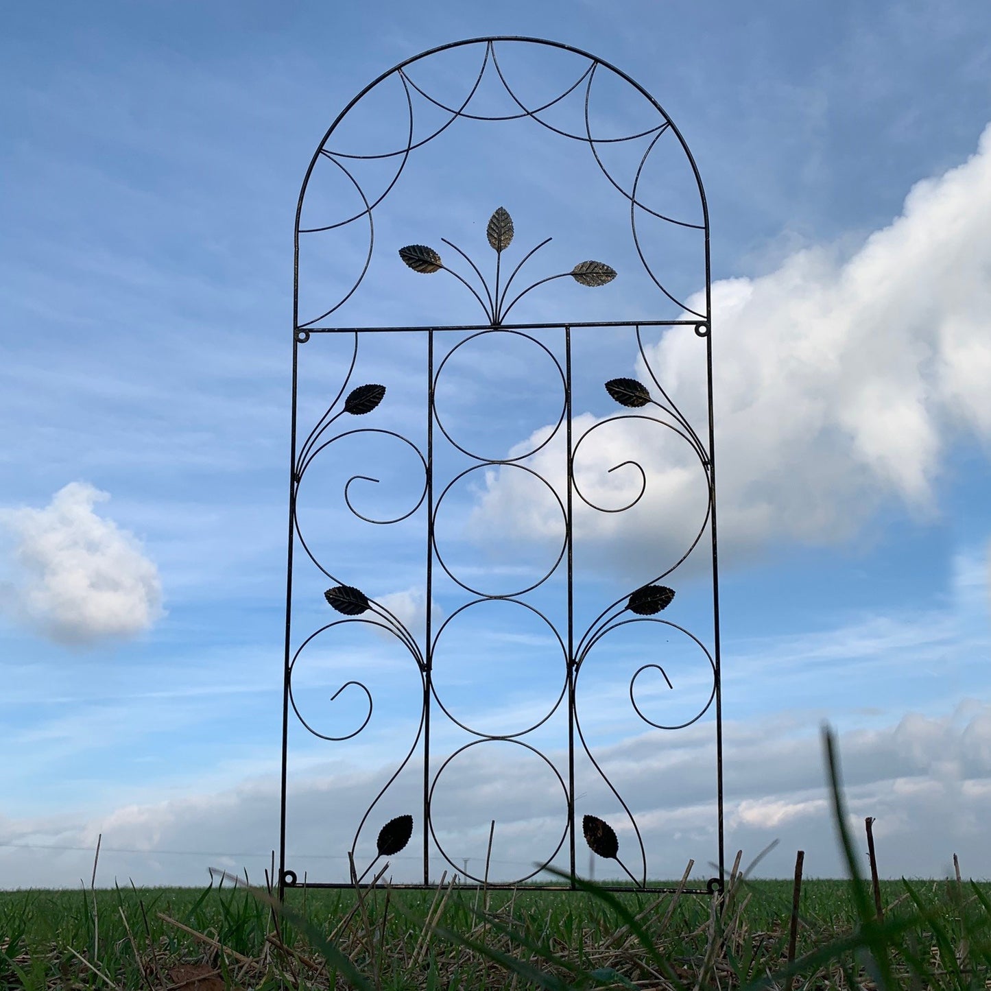 Leaf Design Metal Garden Trellis (120cm x 50cm) - Pack of 3