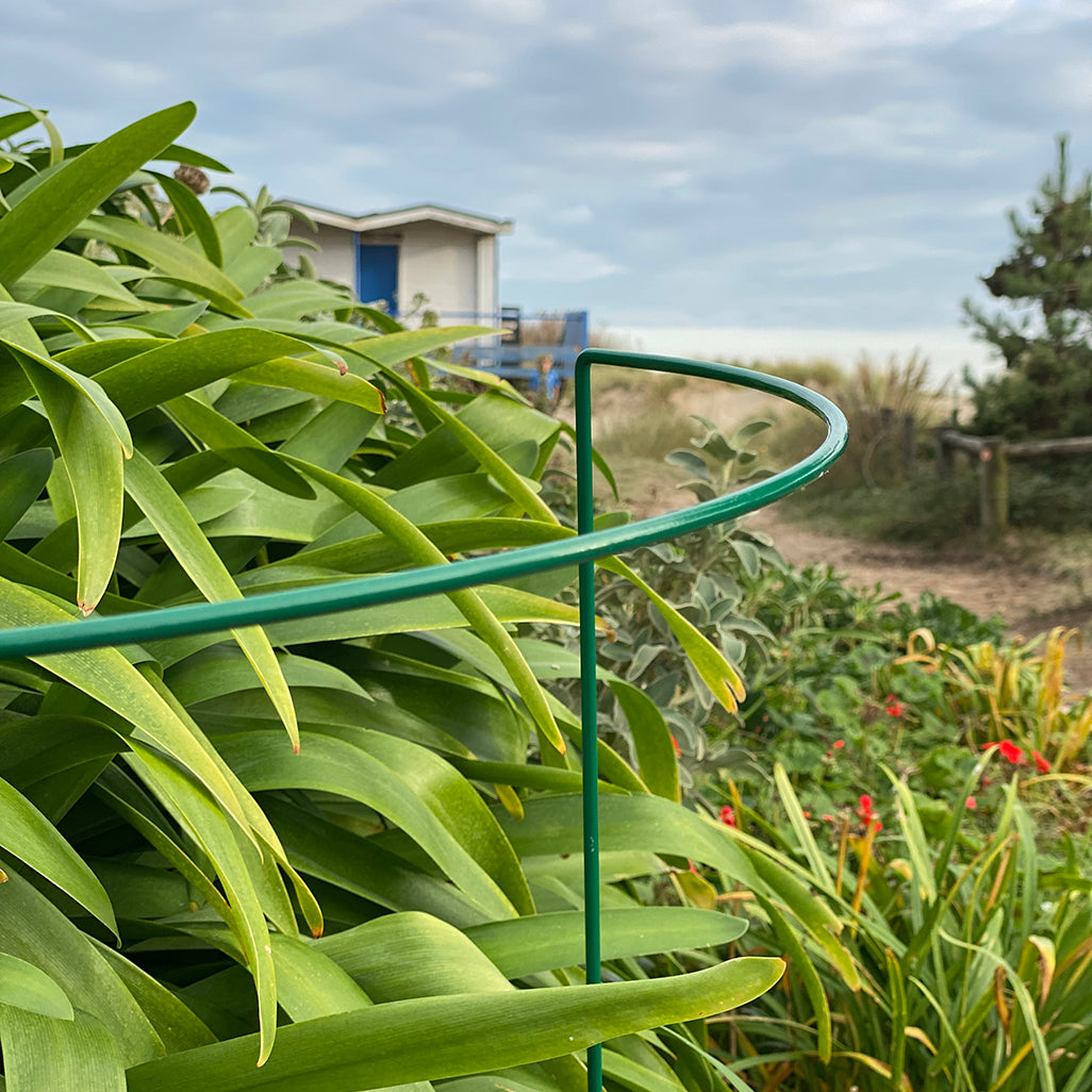 Garden Hoop Plant Bow Support System 52cm x 90cm (Pack of 4)