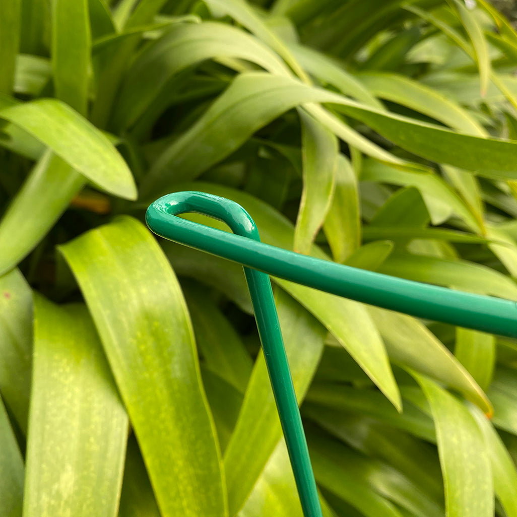 Garden Hoop Plant Bow Support System 52cm x 90cm (Pack of 8)